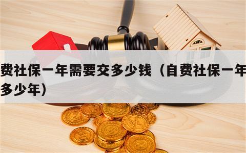 自费社保一年需要交多少钱（自费社保一年需交多少年）