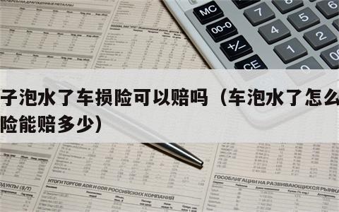 车子泡水了车损险可以赔吗（车泡水了怎么报保险能赔多少）