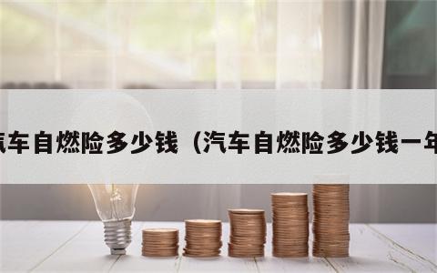 汽车自燃险多少钱（汽车自燃险多少钱一年）