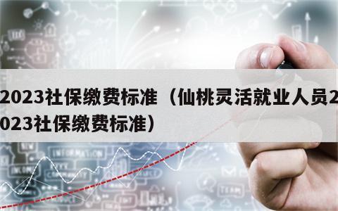 2023社保缴费标准（仙桃灵活就业人员2023社保缴费标准）