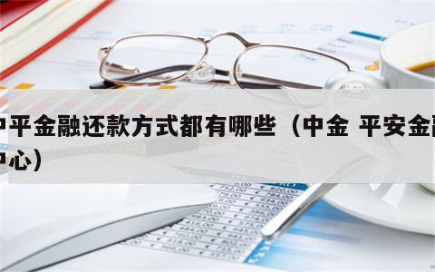 中平金融还款方式都有哪些（中金 平安金融中心）