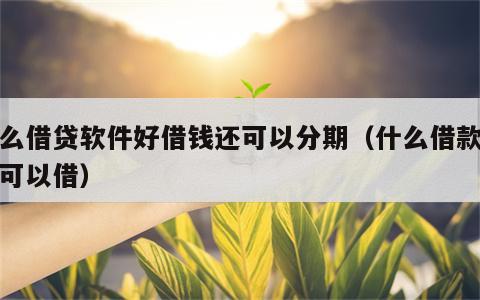 什么借贷软件好借钱还可以分期（什么借款软件可以借）