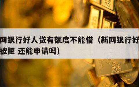 新网银行好人贷有额度不能借（新网银行好人贷被拒 还能申请吗）