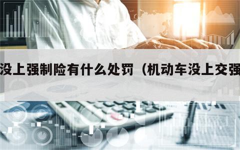 车没上强制险有什么处罚（机动车没上交强险）