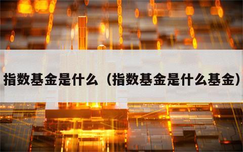 指数基金是什么（指数基金是什么基金）
