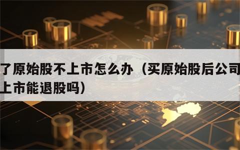 买了原始股不上市怎么办（买原始股后公司不能上市能退股吗）