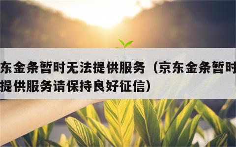 京东金条暂时无法提供服务（京东金条暂时无法提供服务请保持良好征信）