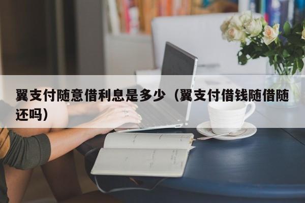翼支付随意借利息是多少（翼支付借钱随借随还吗）