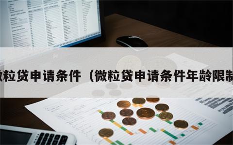 微粒贷申请条件（微粒贷申请条件年龄限制）