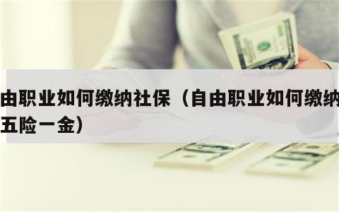 自由职业如何缴纳社保（自由职业如何缴纳社保五险一金）