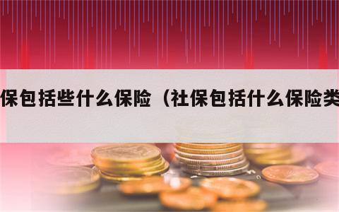 社保包括些什么保险（社保包括什么保险类型）
