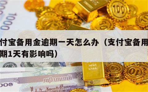 支付宝备用金逾期一天怎么办（支付宝备用金逾期1天有影响吗）