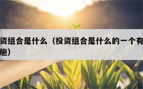 投资组合是什么（投资组合是什么的一个有效措施）