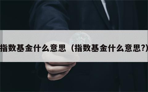 指数基金什么意思（指数基金什么意思?）