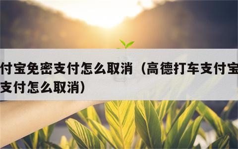 支付宝免密支付怎么取消（高德打车支付宝免密支付怎么取消）