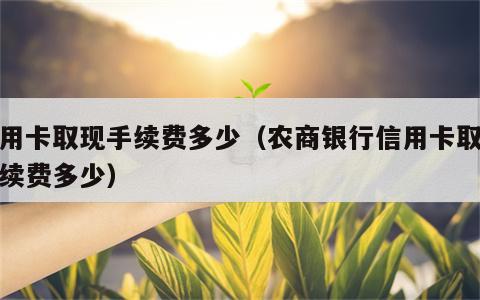 信用卡取现手续费多少（农商银行信用卡取现手续费多少）