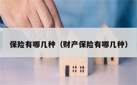 保险有哪几种（财产保险有哪几种）