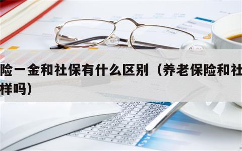 五险一金和社保有什么区别（养老保险和社保一样吗）