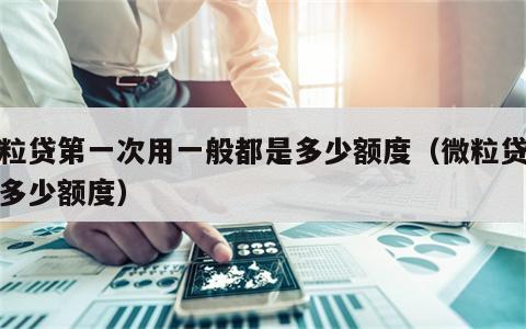 微粒贷第一次用一般都是多少额度（微粒贷首次多少额度）