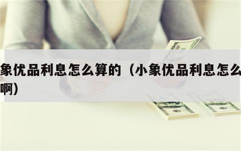 小象优品利息怎么算的（小象优品利息怎么算的啊）