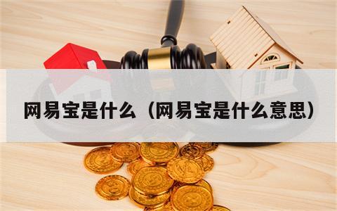 网易宝是什么（网易宝是什么意思）
