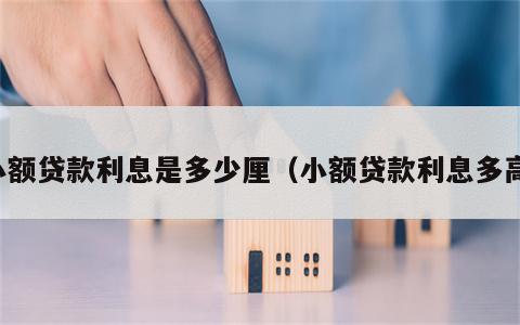 小额贷款利息是多少厘（小额贷款利息多高）