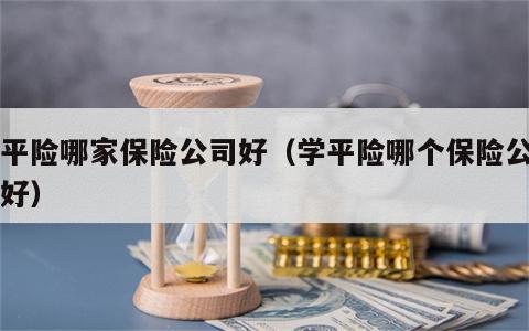 学平险哪家保险公司好（学平险哪个保险公司的好）