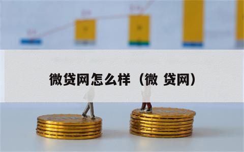 微贷网怎么样（微 贷网）