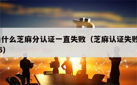 为什么芝麻分认证一直失败（芝麻认证失败005）