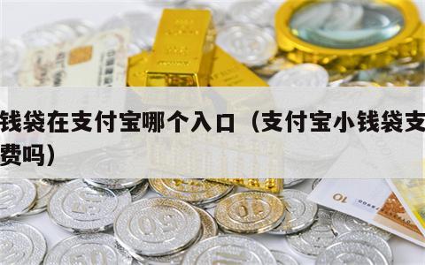 小钱袋在支付宝哪个入口（支付宝小钱袋支取收费吗）
