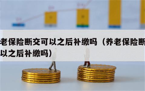 养老保险断交可以之后补缴吗（养老保险断交可以之后补缴吗）