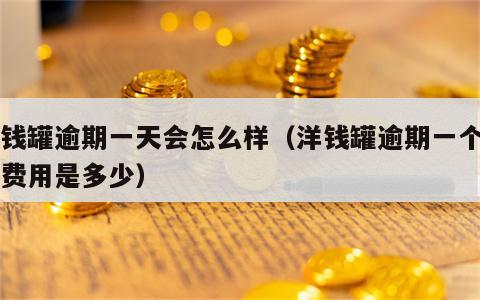 洋钱罐逾期一天会怎么样（洋钱罐逾期一个月的费用是多少）