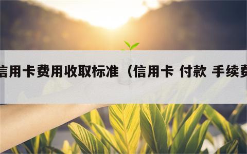 信用卡费用收取标准（信用卡 付款 手续费）