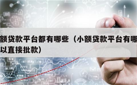 小额贷款平台都有哪些（小额贷款平台有哪些可以直接批款）