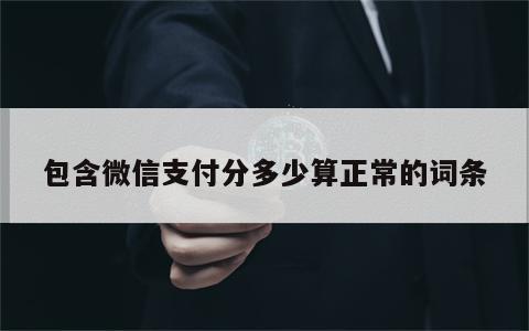 包含微信支付分多少算正常的词条