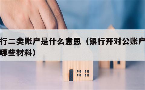 银行二类账户是什么意思（银行开对公账户需要哪些材料）