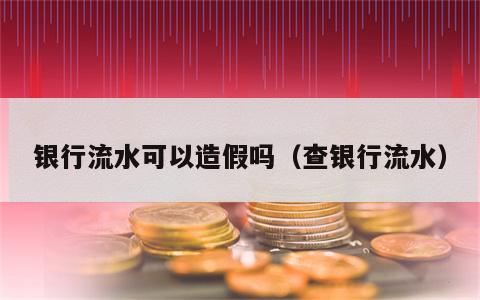 银行流水可以造假吗（查银行流水）