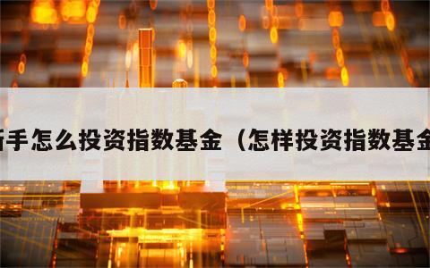 新手怎么投资指数基金（怎样投资指数基金）