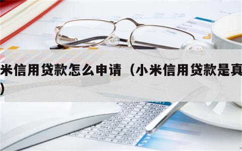 小米信用贷款怎么申请（小米信用贷款是真的吗）
