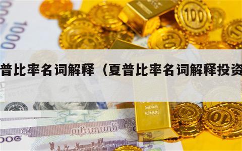 夏普比率名词解释（夏普比率名词解释投资学）