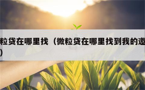 微粒贷在哪里找（微粒贷在哪里找到我的邀请人）