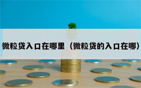 微粒贷入口在哪里（微粒贷的入口在哪）
