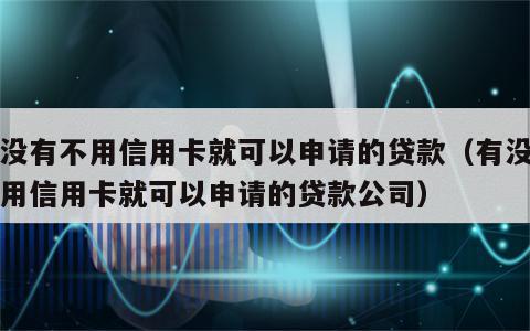 有没有不用信用卡就可以申请的贷款（有没有不用信用卡就可以申请的贷款公司）