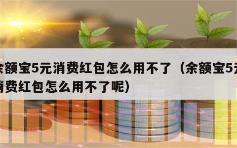 余额宝5元消费红包怎么用不了（余额宝5元消费红包怎么用不了呢）
