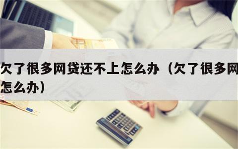 我欠了很多网贷还不上怎么办（欠了很多网贷该怎么办）