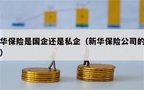 新华保险是国企还是私企（新华保险公司的简介）