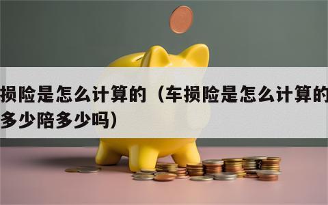 车损险是怎么计算的（车损险是怎么计算的是保多少陪多少吗）