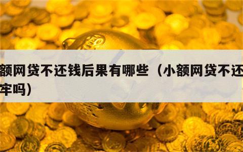小额网贷不还钱后果有哪些（小额网贷不还会坐牢吗）