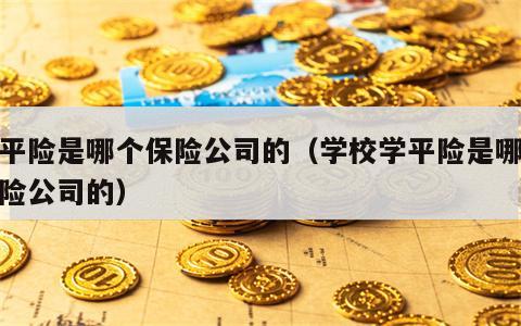 学平险是哪个保险公司的（学校学平险是哪个保险公司的）