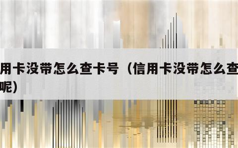 信用卡没带怎么查卡号（信用卡没带怎么查卡号呢）